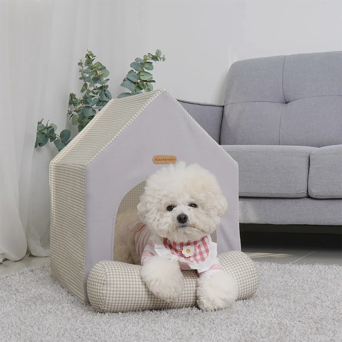 와이낫펫 코지 하우스 4